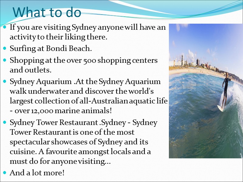 What to do If you are visiting Sydney anyone will have an activity to
